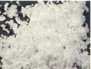 Fiocchi