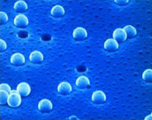 Membrana filtrante